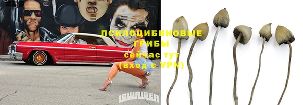 гидра Алзамай