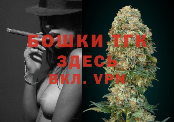 МДПВ Алексин