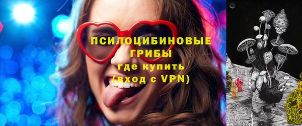 МДПВ Алексин