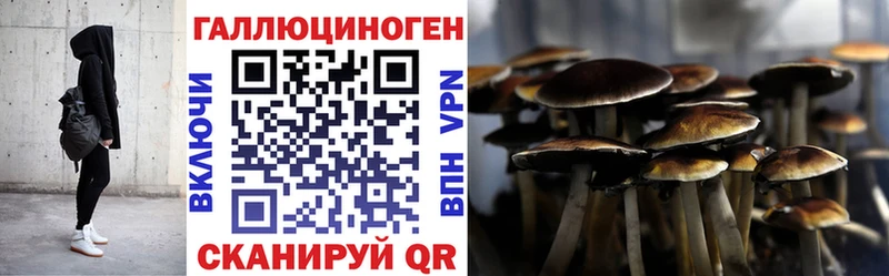 цены   Воткинск  Псилоцибиновые грибы Cubensis 