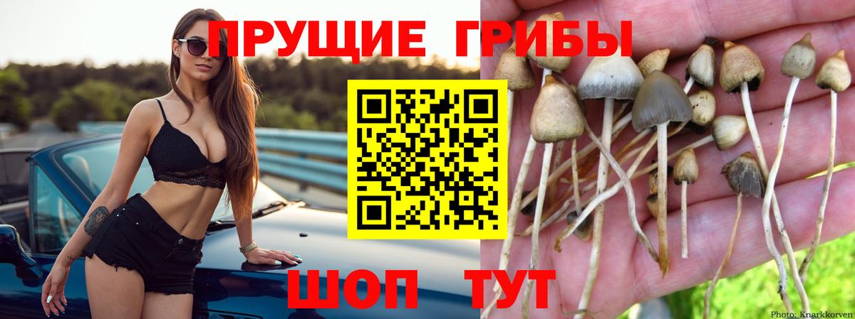 Псилоцибиновые грибы MAGIC MUSHROOMS Воткинск